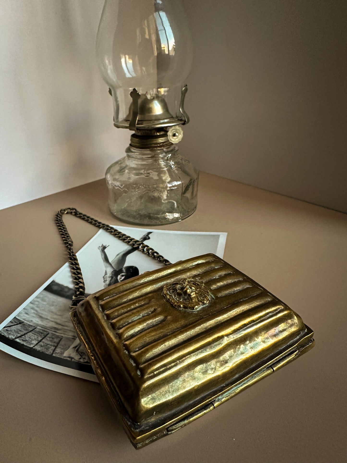 Brass Lion Head Clutch with Chain Strap – Velvet Lined