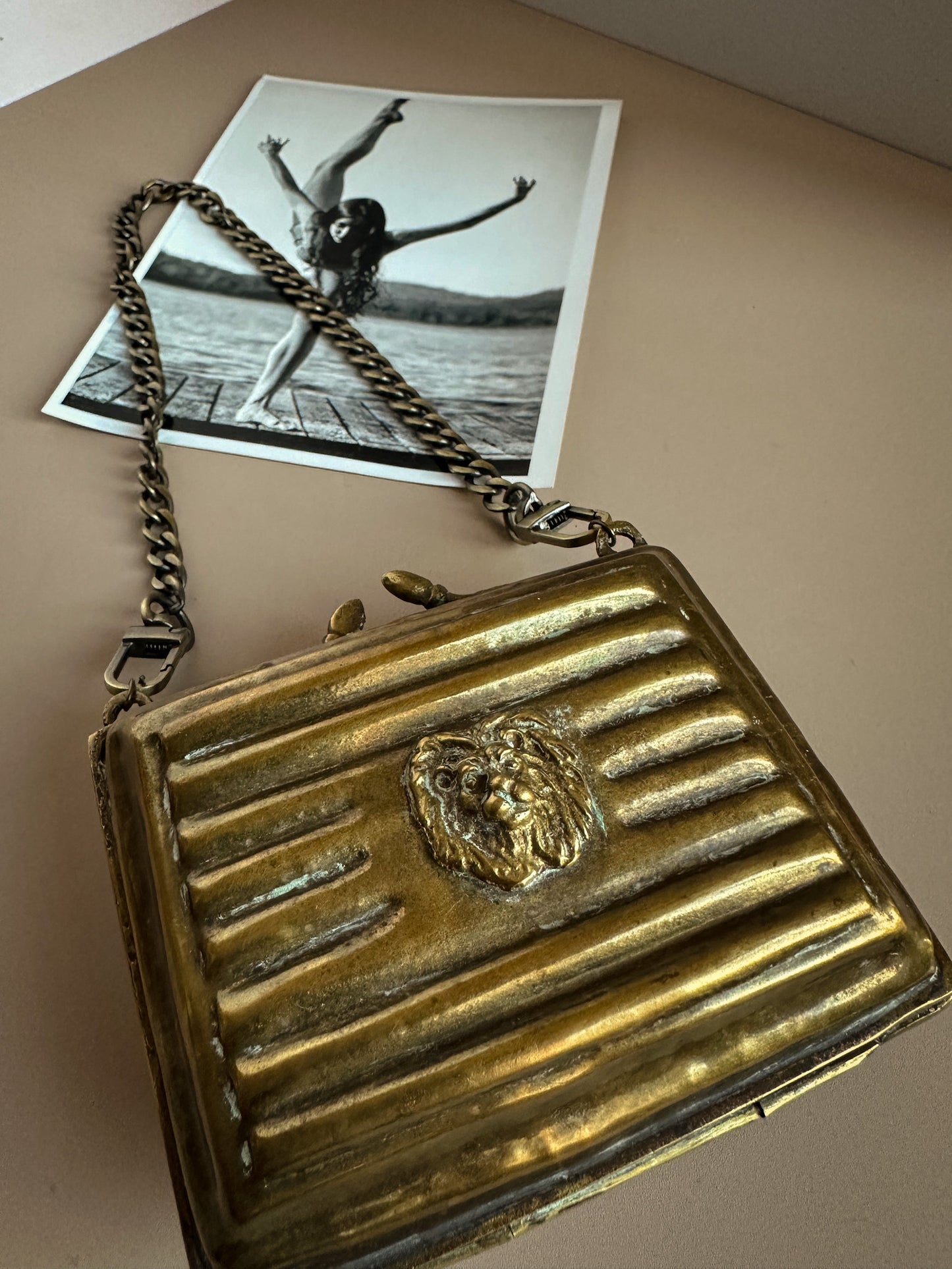 Brass Lion Head Clutch with Chain Strap – Velvet Lined
