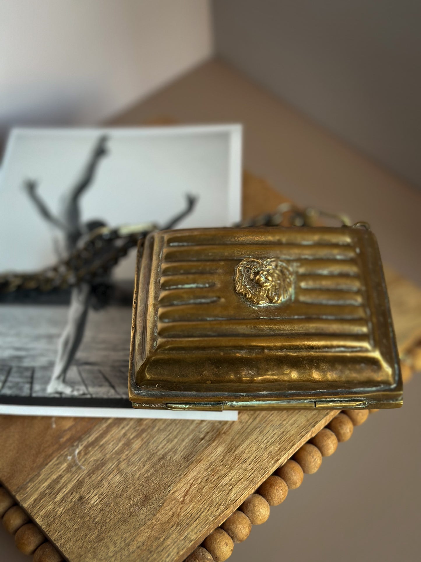 Brass Lion Head Clutch with Chain Strap – Velvet Lined