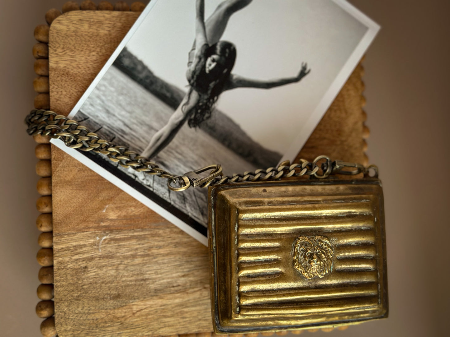 Brass Lion Head Clutch with Chain Strap – Velvet Lined