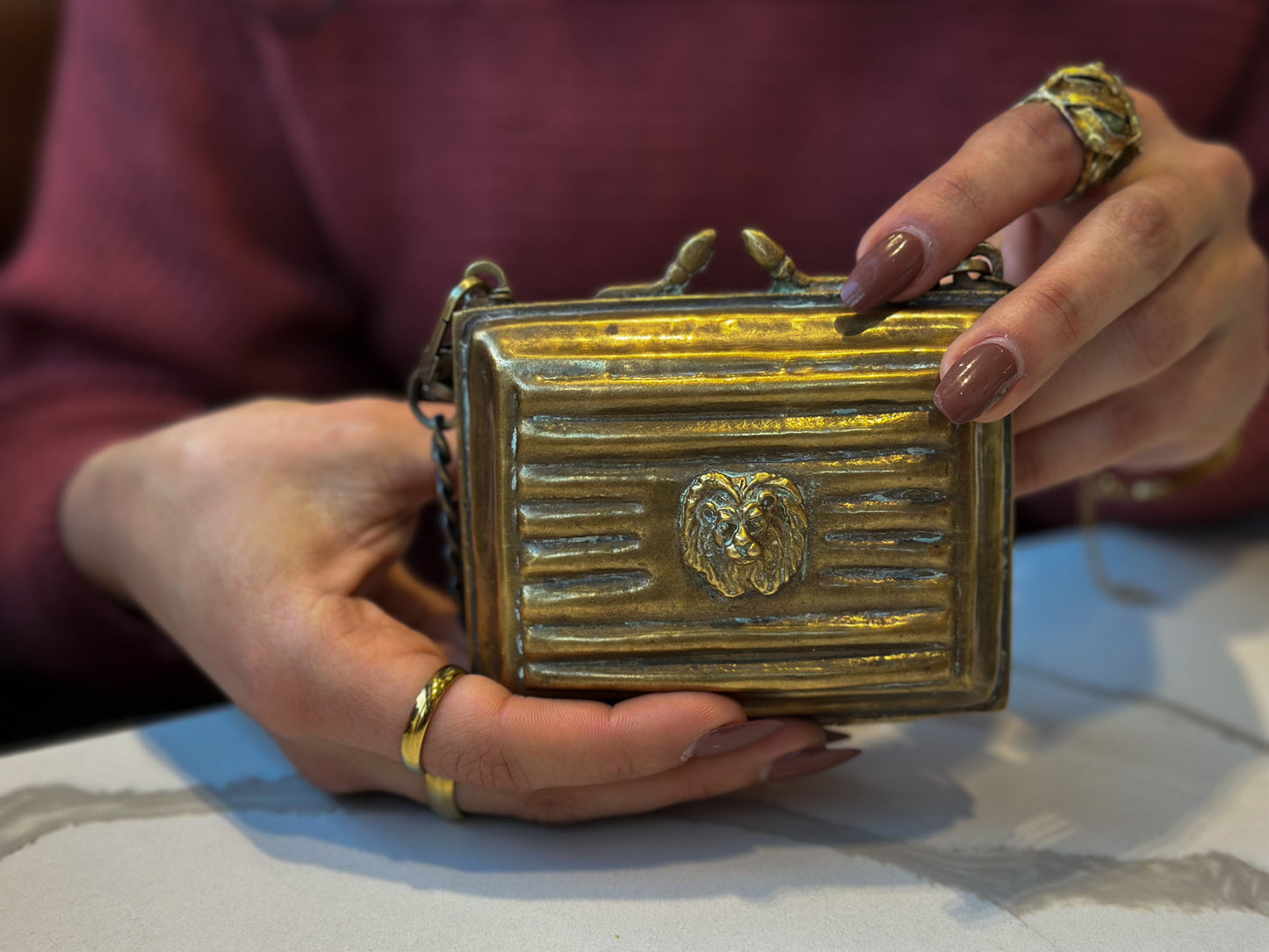 Brass Lion Head Clutch with Chain Strap – Velvet Lined